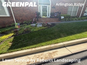 Lawn Cut nearby Arlington, VA, 