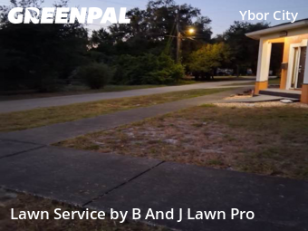 Lawn Mowing Servicein Tampa,33605,Lawn Mowing by B And J Lawn Pro, work completed in Nov , 2025