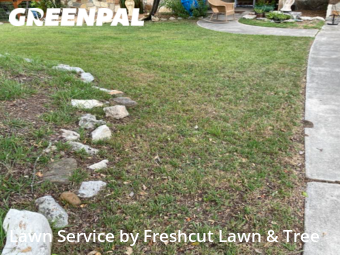 Grass Cutting nearby New Braunfels, TX, 
