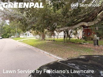 Lawn Cutting nearby Tampa, FL, 