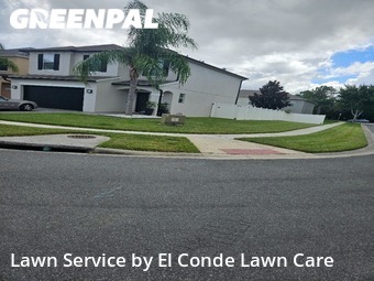 Lawn Cut nearby Kissimmee, FL, 