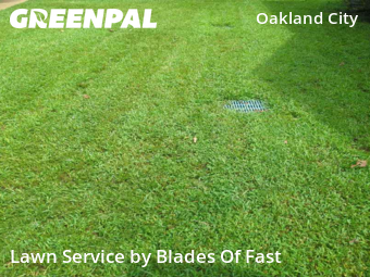 Lawn Mowing Service nearby Atlanta, GA, 