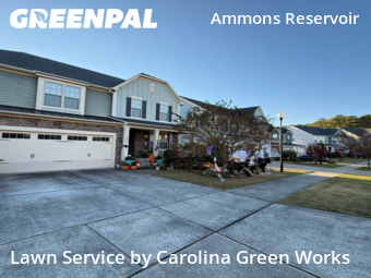 Yard Cutting in Wake Forest, 27587, Lawn Mowing by Carolina Green Works, work completed in Nov , 2025