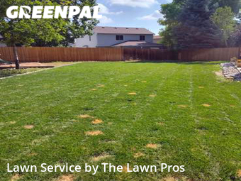 Yard Cutting nearby Thornton, CO, 