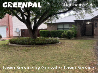 Grass Cut nearby Schertz, TX, 