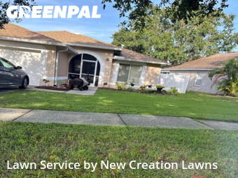 Lawn Service nearby Valrico, FL, 