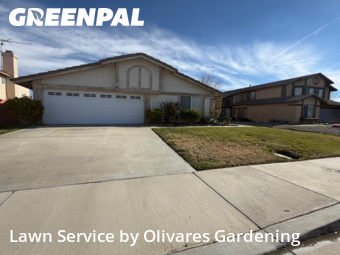 Lawn Servicein Lancaster,93535,Grass Cut by Olivares Gardening , work completed in Jan , 2026