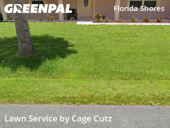 Lawn Work in Edgewater, 32141, Yard Grooming by Cage Cutz, work completed in Nov , 2025
