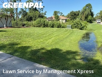 Grass Cut nearby Port Charlotte, FL, 