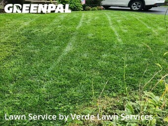 Lawn Care nearby Manchester, NH, 