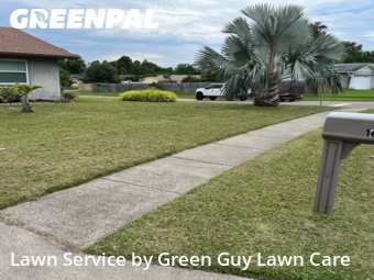 Lawn Mowin Dunedin,34698,Grass Cutting by Green Guy Lawn Care, work completed in Nov , 2025