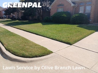 Yard Cuttingin Haltom City,76137,Grass Cutting by Olive Branch Lawn, work completed in Nov , 2025