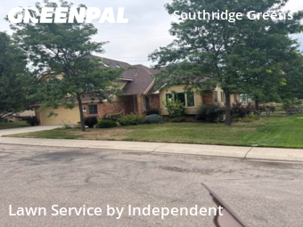 Lawn Cut nearby Fort Collins, CO, 