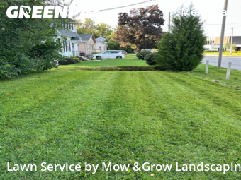 Grass Cutting nearby Des Moines, IA, 