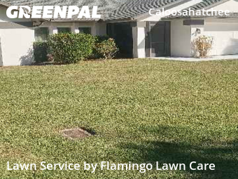 Landscaping Companies In Cape Coral,33904,Landscape Design by Flamingo Lawn Care, work completed in Jan , 2026