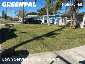Grass Cut nearby Port Richey, FL, 