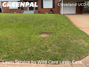 Yard Cutting nearby Oklahoma City, OK, 