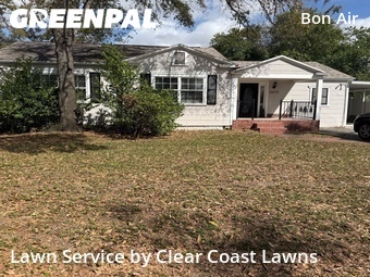 Grass Cut nearby Tampa, FL, 