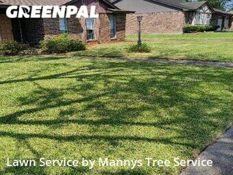 Lawn Mow nearby Friendswood, TX, 