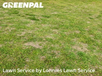 Lawn Cut nearby Berry Hill, TN, 