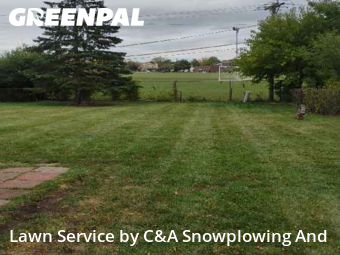 Backyard Mowing in Streamwood, 60107, Garden Trimming by C&A Snowplowing And , work completed in Nov , 2025