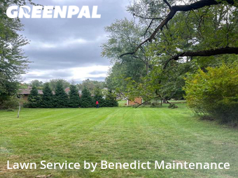 Yard Cutting nearby Westlake, OH, 