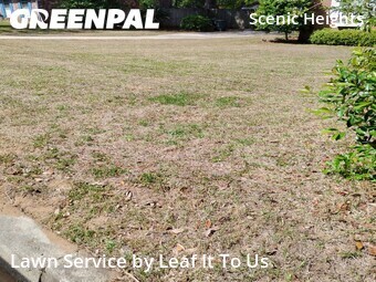 Lawn Mowing Service nearby Tallahassee, FL, 