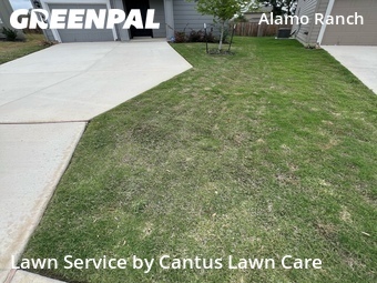 Yard Mowing nearby San Antonio, TX, 