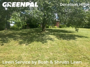 Lawn Cutin Nashville,37214,Lawn Mowing by Bush & Shrubs Lawn, work completed in Jul , 2026