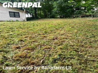 Lawn Service nearby Lothian, MD, 