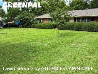 Yard Cutting nearby Macon, GA, 