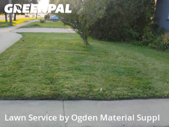 Lawn Maintenance nearby Westchester, IL, 