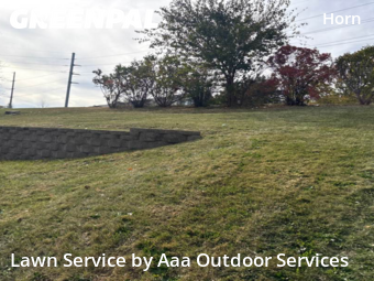 Yard Grooming in Iowa City, 52246, Front Yard Mowing by Aaa Outdoor Services, work completed in Nov , 2025