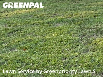 Modern Landscaping In Richmond,23222,Landscaping by Greenpriority Lawn S, work completed in Jul , 2026