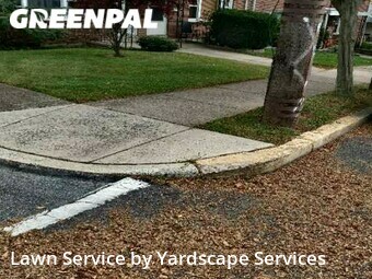 Grass Cutting nearby West Reading, PA, 