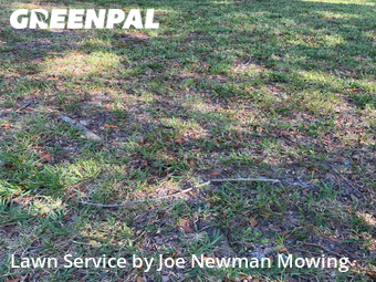 Lawn Care nearby Tampa, FL, 