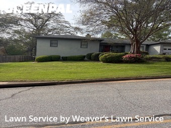 Yard Cutting nearby Columbus, GA, 