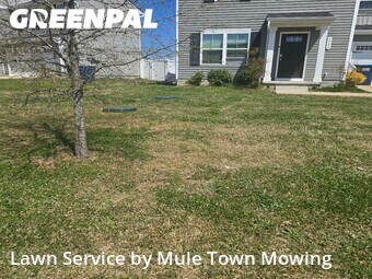 Yard Cutting nearby Christiana, TN, 