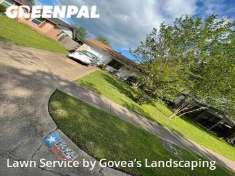 Grass Cut nearby Mesquite, TX, 