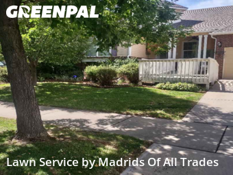 Grass Cutting nearby Timnath, CO, 