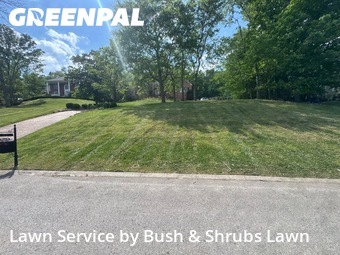 Grass Cutin Brentwood,37027,Lawn Care Service by Bush & Shrubs Lawn, work completed in Jun , 2026