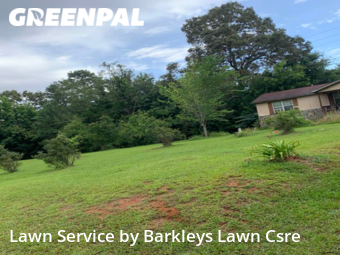 Lawn Mowing Service nearby Forsyth, GA, 