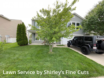 Yard Cutting nearby Indianapolis, IN, 
