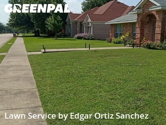 Grass Cut nearby Sachse, TX, 