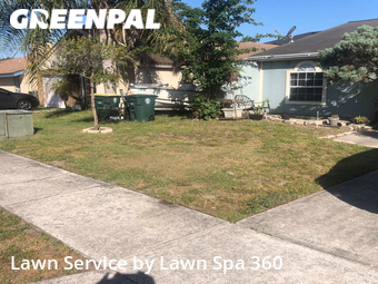 Lawn Cutting nearby Jacksonville, FL, 