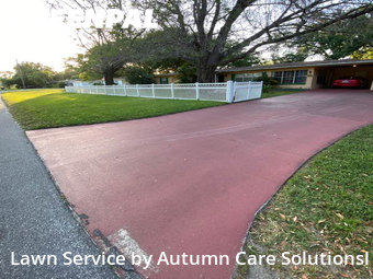 Lawn Maintenance nearby Tampa, FL, 