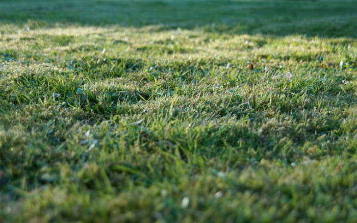 Work Image 4