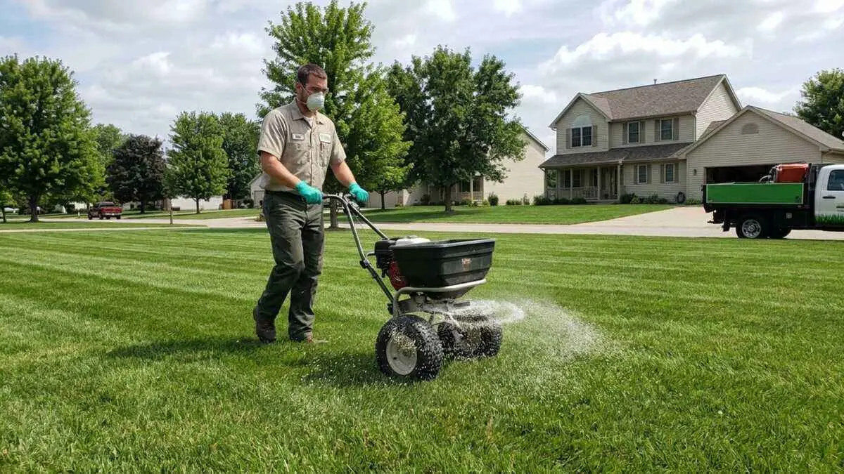 Why, When, and How to Apply Lime to Your Lawn