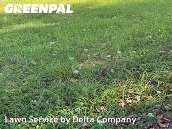 Lawn Mowing nearby Bowling Green, KY, 