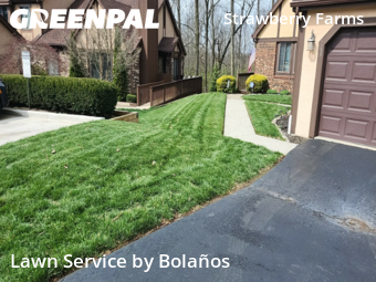 Lawn Cutting nearby Columbus, OH, 